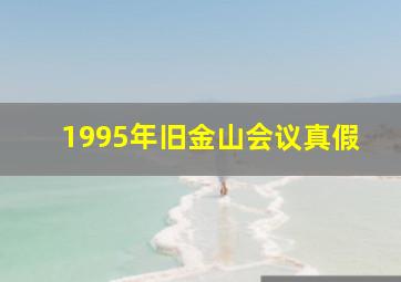 1995年旧金山会议真假