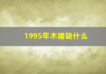 1995年木猪缺什么