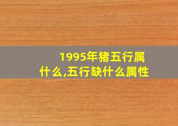 1995年猪五行属什么,五行缺什么属性