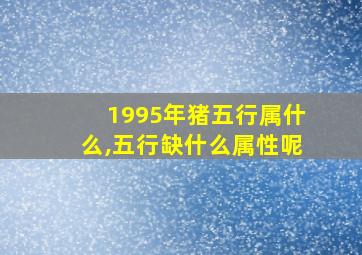 1995年猪五行属什么,五行缺什么属性呢