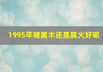 1995年猪属木还是属火好呢