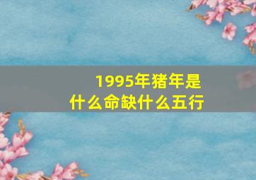 1995年猪年是什么命缺什么五行