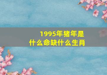 1995年猪年是什么命缺什么生肖