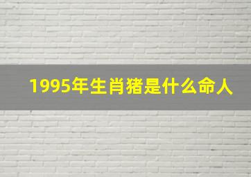 1995年生肖猪是什么命人