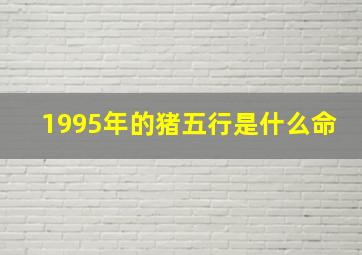 1995年的猪五行是什么命