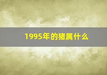 1995年的猪属什么