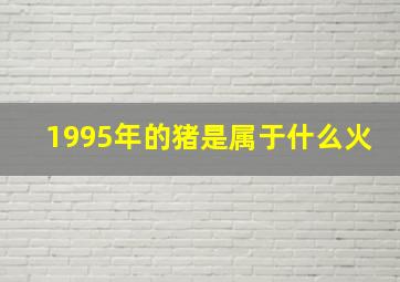 1995年的猪是属于什么火