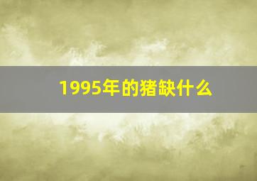 1995年的猪缺什么