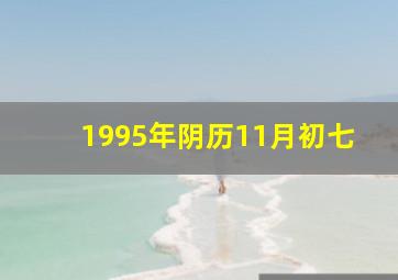 1995年阴历11月初七