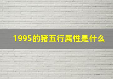 1995的猪五行属性是什么