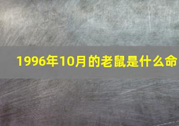 1996年10月的老鼠是什么命