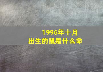 1996年十月出生的鼠是什么命