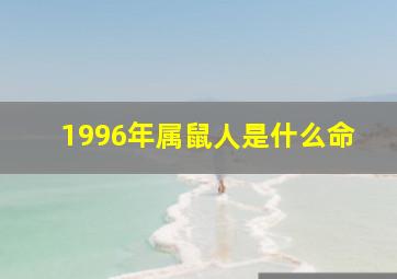 1996年属鼠人是什么命