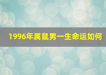 1996年属鼠男一生命运如何