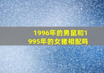 1996年的男鼠和1995年的女猪相配吗