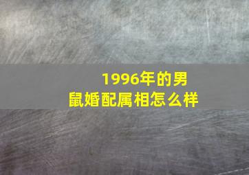 1996年的男鼠婚配属相怎么样