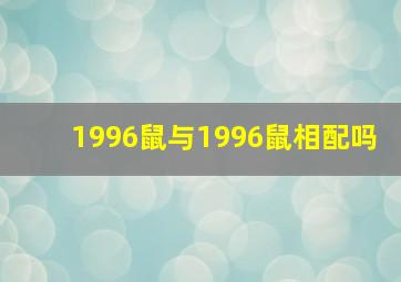 1996鼠与1996鼠相配吗