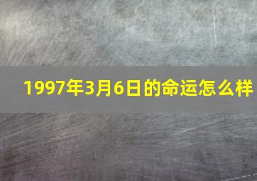 1997年3月6日的命运怎么样