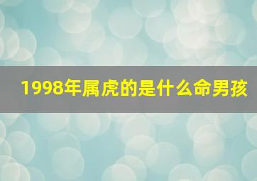 1998年属虎的是什么命男孩