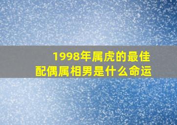 1998年属虎的最佳配偶属相男是什么命运