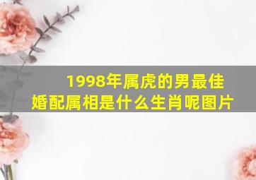 1998年属虎的男最佳婚配属相是什么生肖呢图片