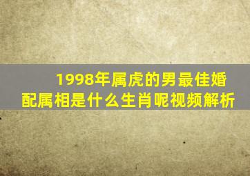 1998年属虎的男最佳婚配属相是什么生肖呢视频解析