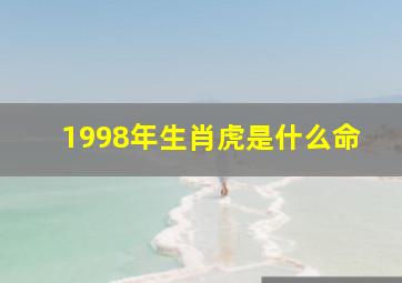 1998年生肖虎是什么命