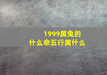 1999属兔的什么命五行属什么