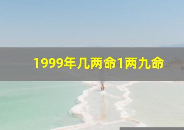 1999年几两命1两九命