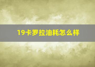 19卡罗拉油耗怎么样