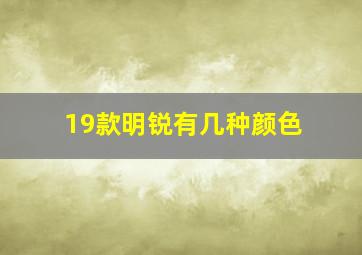 19款明锐有几种颜色