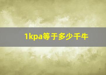 1kpa等于多少千牛