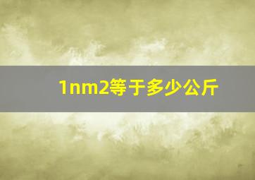 1nm2等于多少公斤