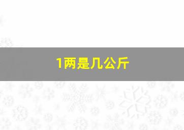 1两是几公斤