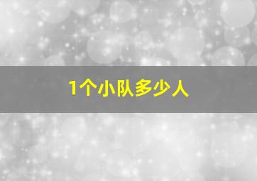 1个小队多少人