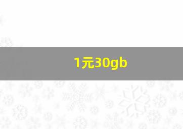 1元30gb