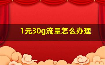 1元30g流量怎么办理