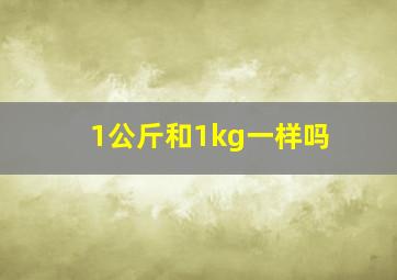 1公斤和1kg一样吗