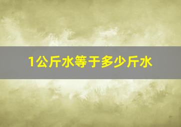 1公斤水等于多少斤水