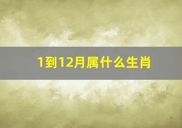 1到12月属什么生肖