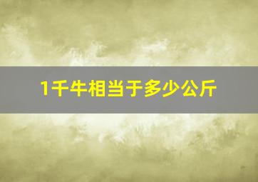 1千牛相当于多少公斤