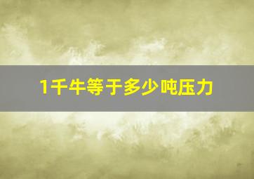 1千牛等于多少吨压力