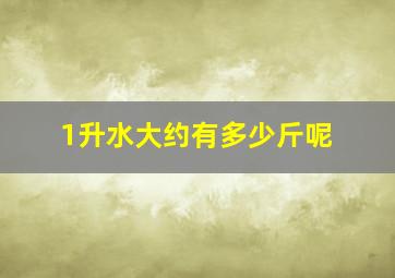 1升水大约有多少斤呢