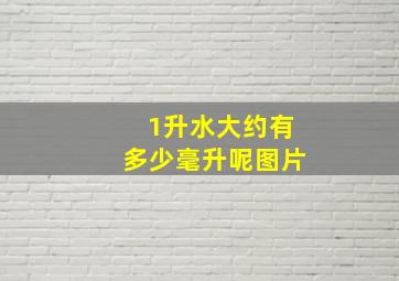 1升水大约有多少毫升呢图片