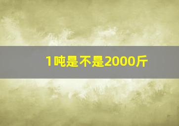 1吨是不是2000斤