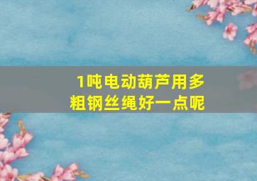 1吨电动葫芦用多粗钢丝绳好一点呢