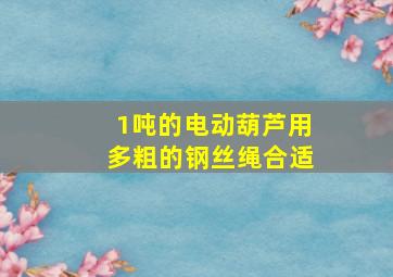 1吨的电动葫芦用多粗的钢丝绳合适