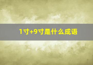 1寸+9寸是什么成语