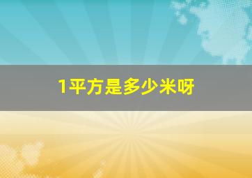 1平方是多少米呀