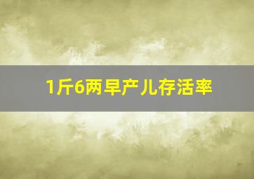 1斤6两早产儿存活率